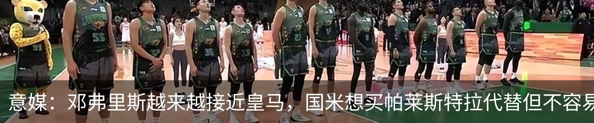 最新动态